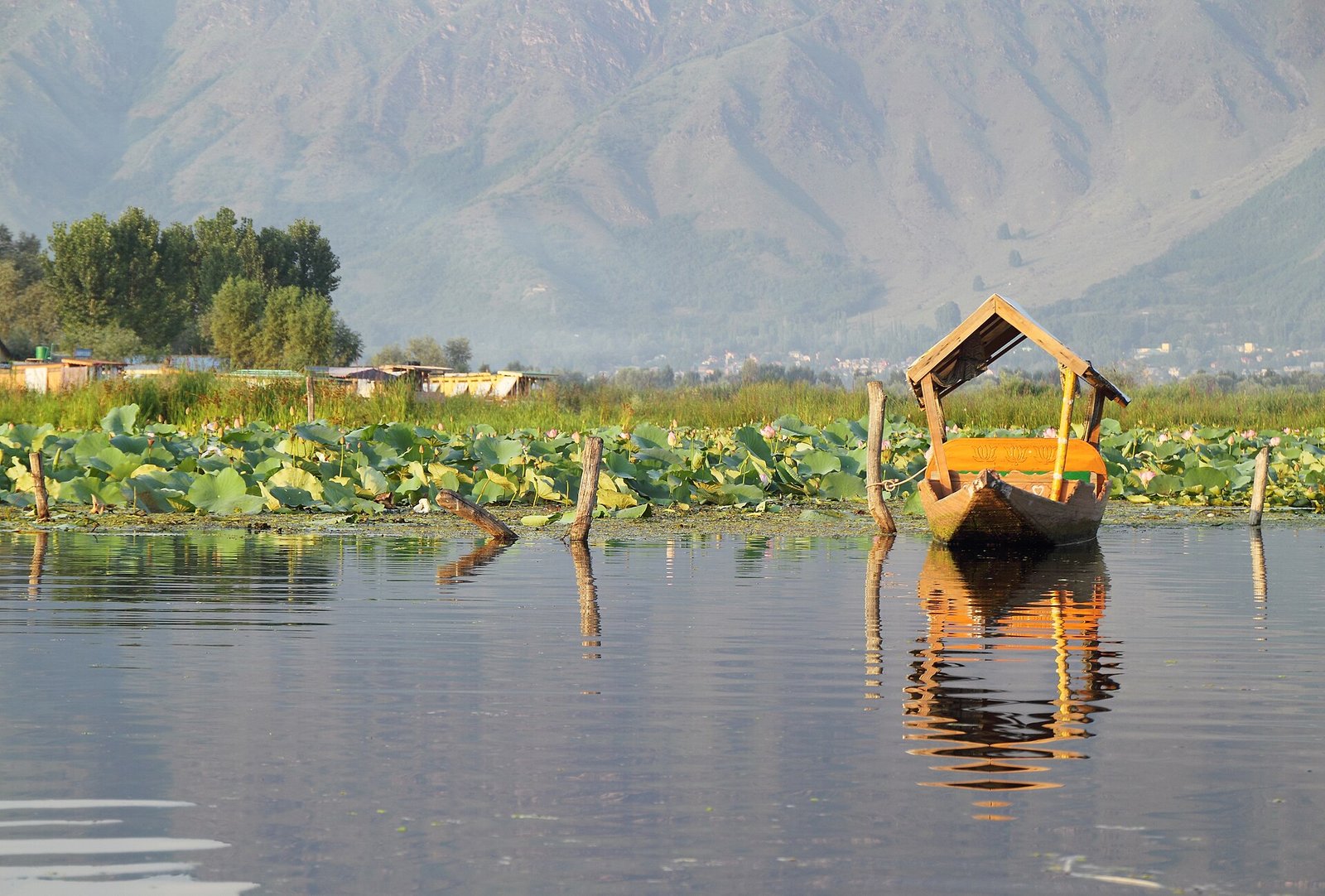 Shikara boat on Dal Lake, Srinagar, Kashmir